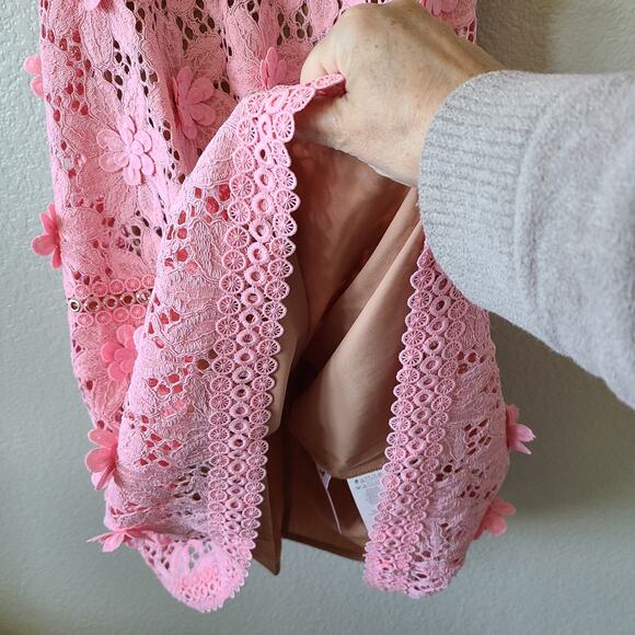 Fairy Coquette Lace Dress Size 2 Pink Michael Kors 3D Floral Appliquéd HOCO - Picture 8 of 12